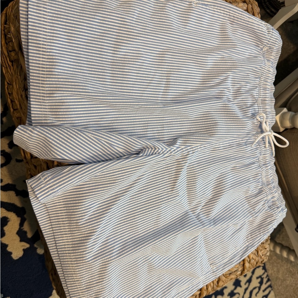 Magellan Blue and White Striped Swim Shorts